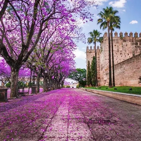 Sherryflat Flamenco - Parking Appartamento *